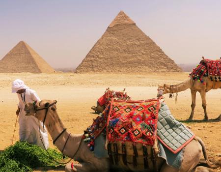 A man with two camels in front of the Great Pyramids of Giza Egypt on a classic tour